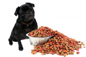 Trockenfutter Mops