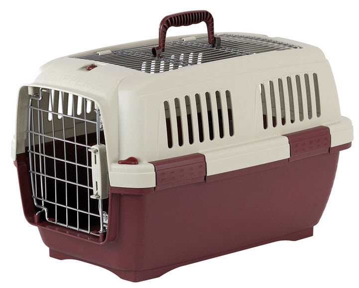 Hundebox Flugbox Mops