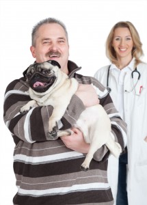 Mops Krankheiten