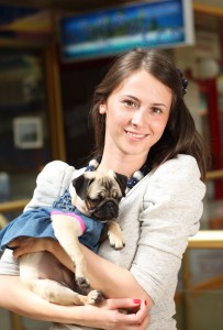 Mops Zucht