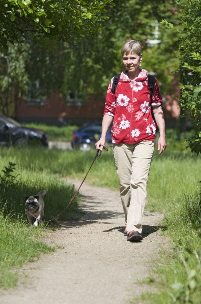 Spazieren gehen mit dem Mops