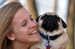 Mops zu verschenken