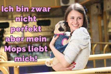 Mops Zitate und Sprüche Mops.de