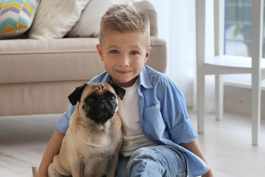 Mops mit kleinem blonden Jungen