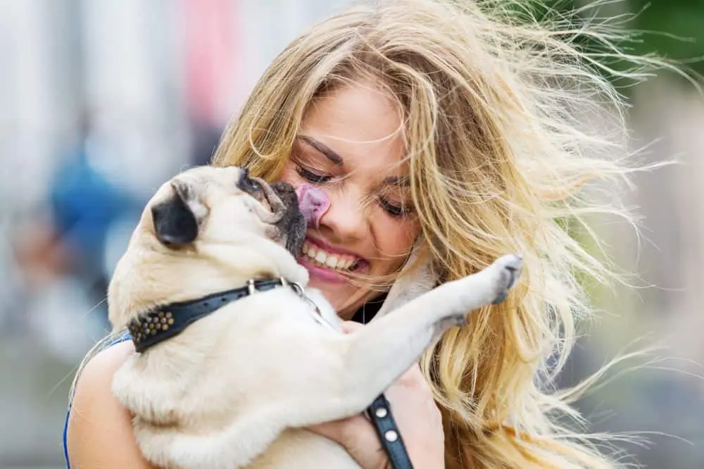 Der Mops macht glücklich