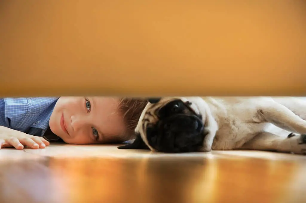 Der Mops ist sehr kinderliebe