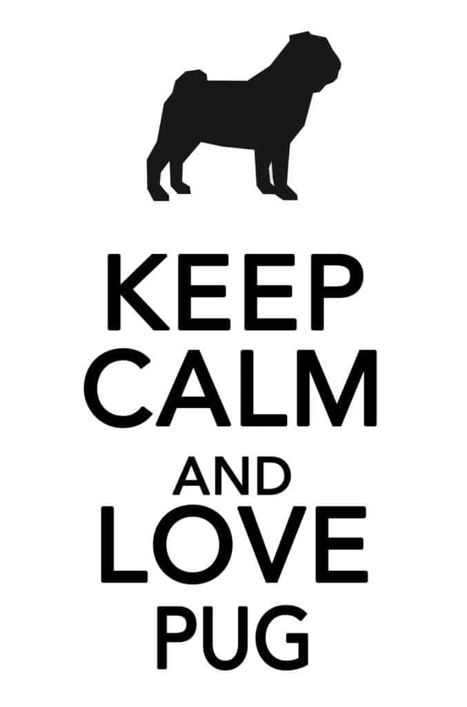 Keep Calm And Love Pug
