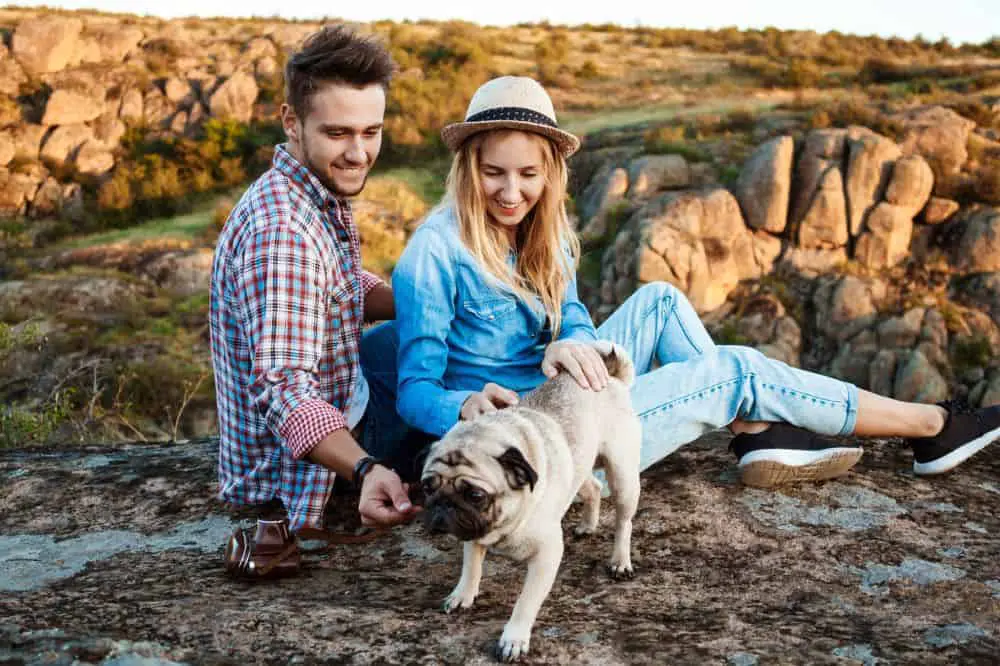 Urlaub mit Mops