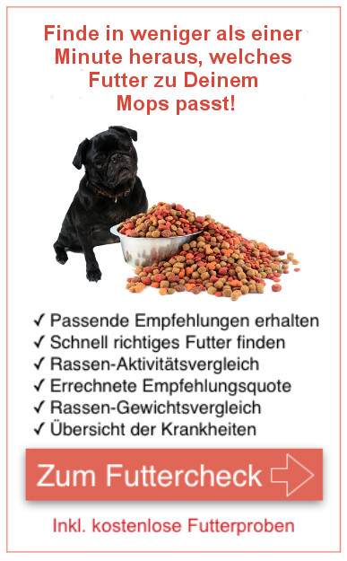 Kostenlose Futterproben