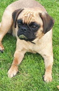 Miniaturansicht für das Anzeigenbild