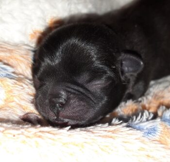 Miniaturansicht für das Anzeigenbild