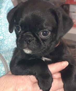 Miniaturansicht für das Anzeigenbild