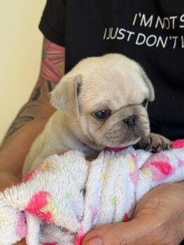 Miniaturansicht für das Anzeigenbild